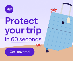 300x250 protect your trip.png